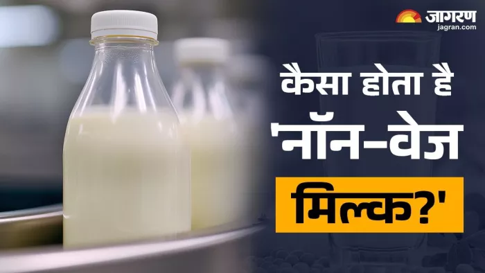 भारत में मिलने वाले दूध से कैसे अलग है नॉन-वेज मिल्क