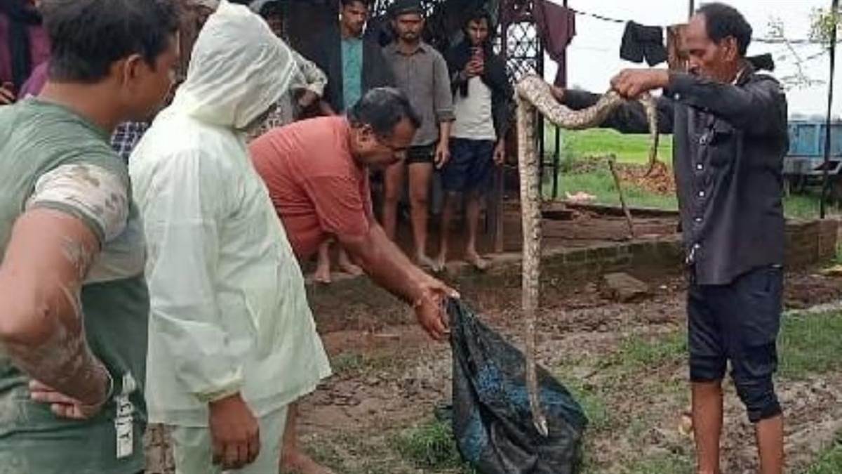 https://www.jagranimages.com/images/newimg/18072025/18_07_2025-orai_python_23987795.jpg