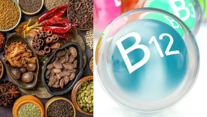 Vitamin B12 की कमी को पूरा करेंगे ये मसाले (Image Credit- Freepik)