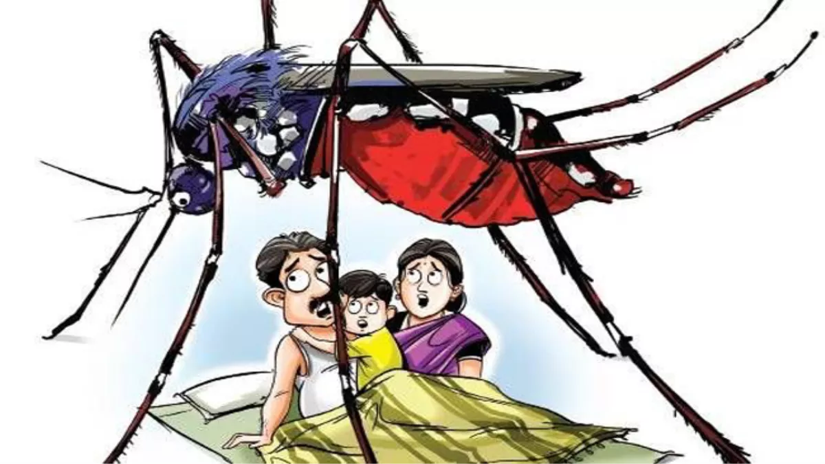 Hathras News: बदलते मौसम में बढ़ा मच्छरों का प्रकोप, बिजली भी दिखा रही नखरे