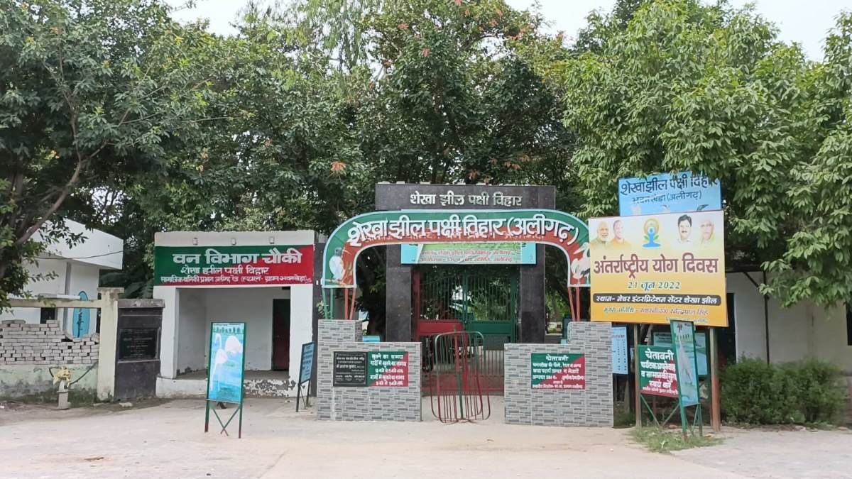 News Article Hero Image