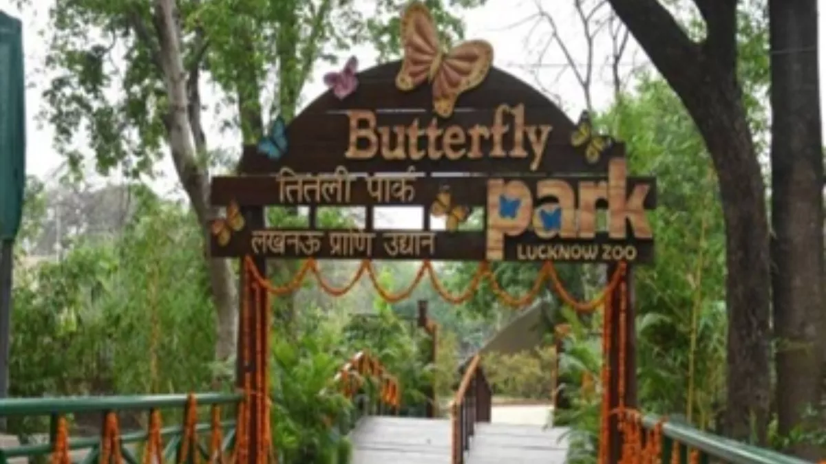 Lucknow Zoo: अभी से दिखने लगी नाइट सफारी देखने की उत्सुकता, म‍िलेंगे मनोरंजन के कई साधन