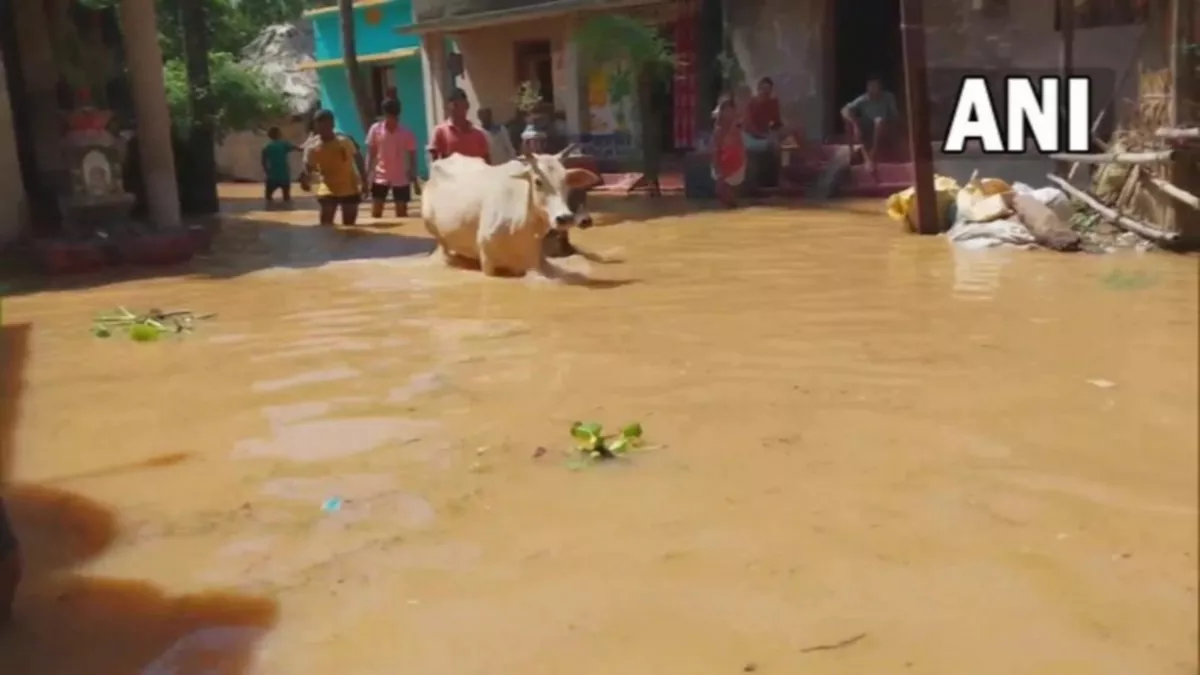 Odisha Floods: ओडिशा में बाढ़ से बिगड़े हालात, 10 जिलों में 4.67 लाख से अधिक लोग प्रभावित