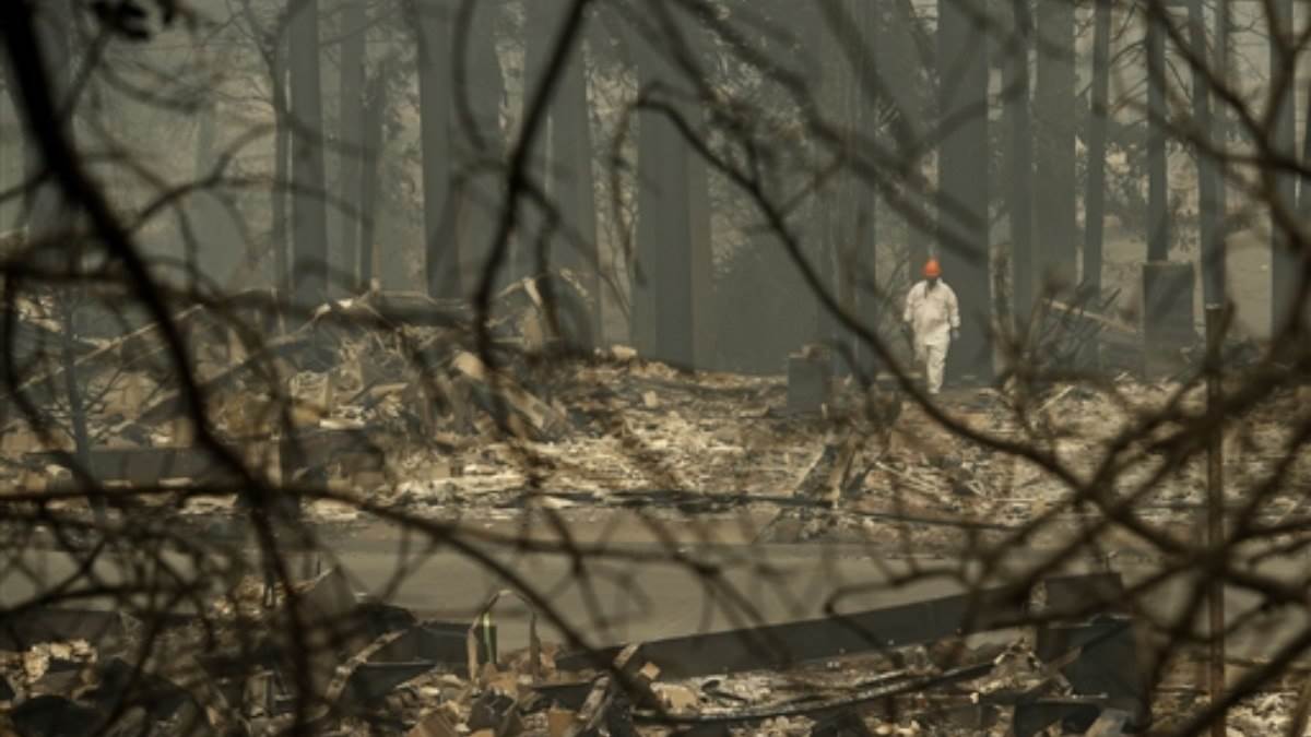 https://www.jagranimages.com/images/newimg/18082023/18_08_2023-hawaii_fire_23504686.jpg