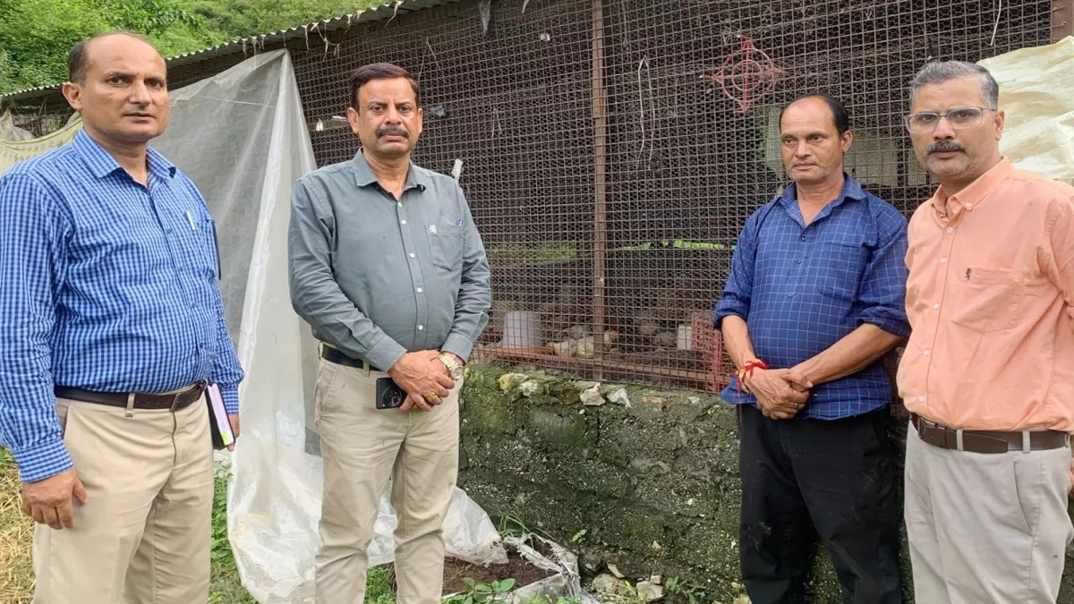 Bageshwar News: सोली में मुर्गियों में बर्ड फ्लू के लक्षण मिलने पर अलर्ट, 46 में दो सैंपल मिले पॉजिटिव