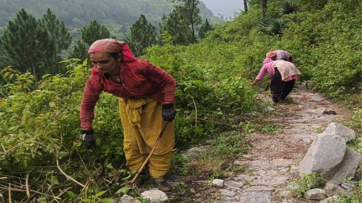 शपथ लेने से पहले ही कार्य में जुटी नवनिर्वाचित ग्राम प्रधान, चार घंटे तक अभियान चलाकर किया झाड़ियों का निस्तारण