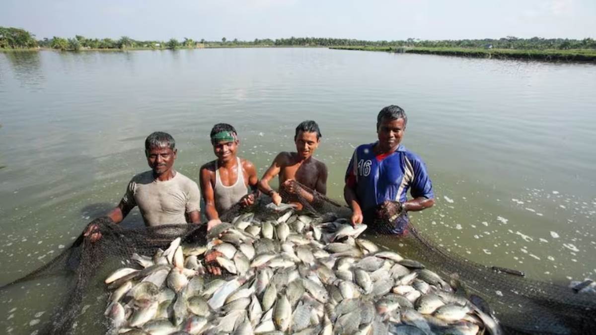 https://www.jagranimages.com/images/newimg/18082025/18_08_2025-bihar_machhali_palan_24016852.jpg
