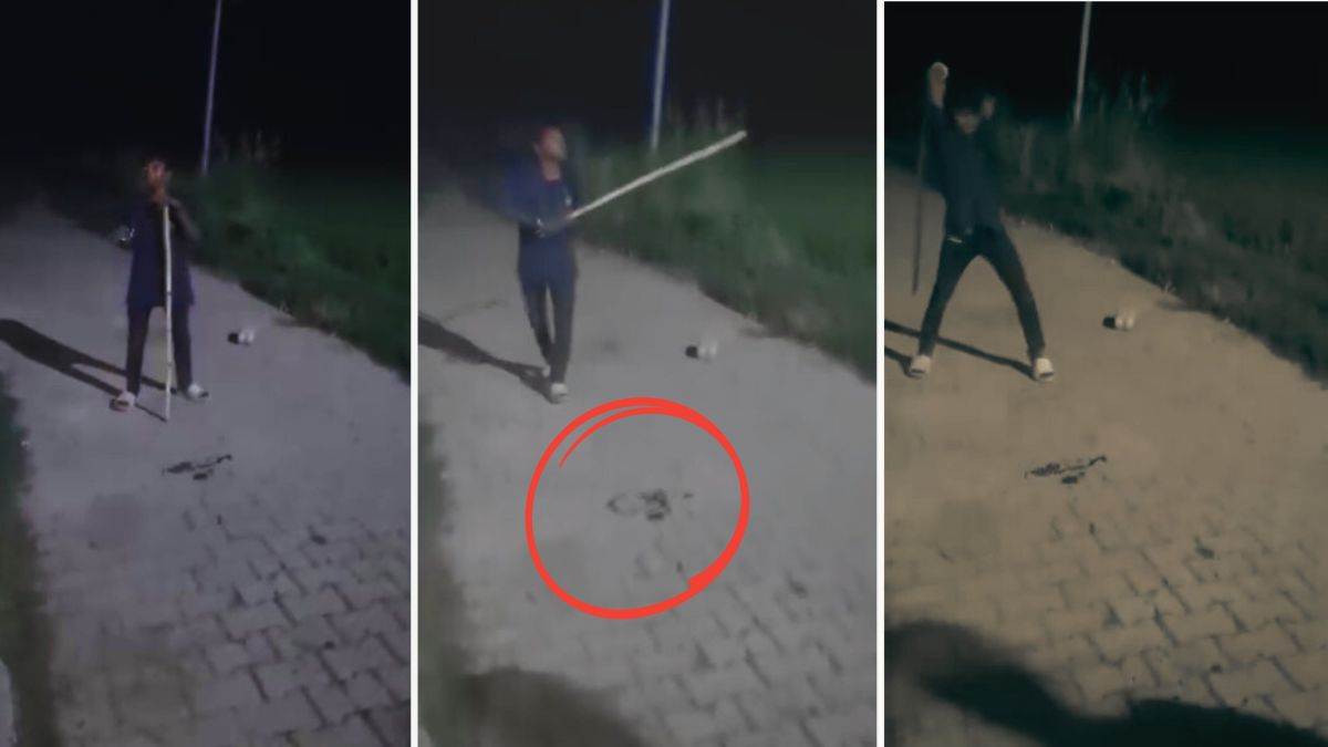 https://www.jagranimages.com/images/newimg/18082025/18_08_2025-cobra_snake_killed_24017175.jpg