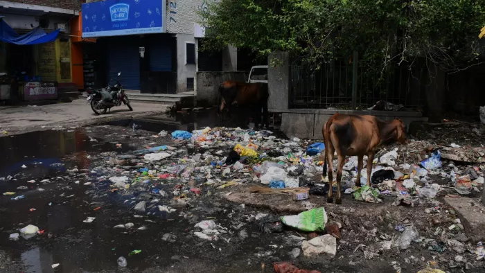 दिल्ली के इन इलाकों में हर तरफ नजर आ रहे गंदगी के ढेर। जागरण