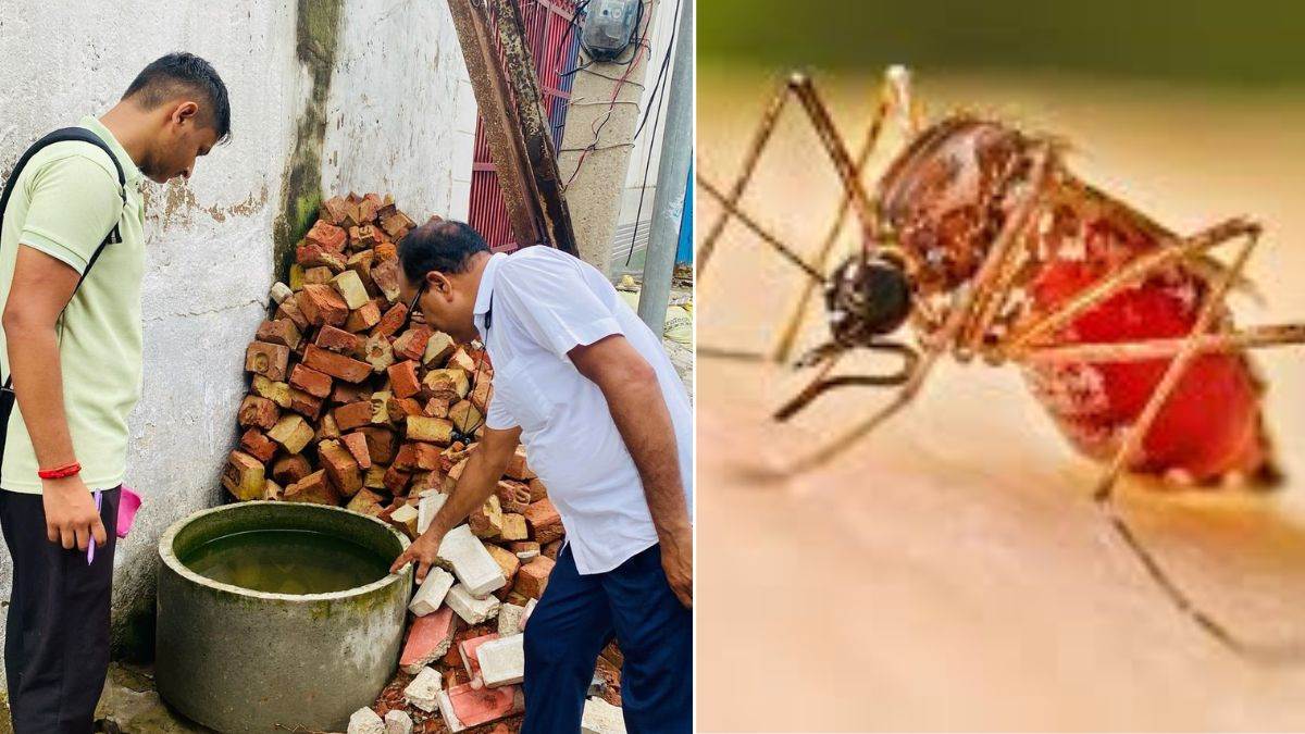 https://www.jagranimages.com/images/newimg/18082025/18_08_2025-dengue-rewari-news_24016886_154629381.jpg