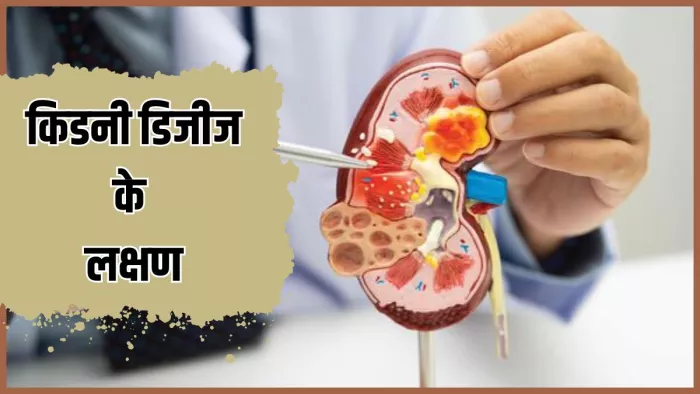 किडनी की बीमारी होने पर नजर आते हैं ये संकेत (Image Credit- Freepik)