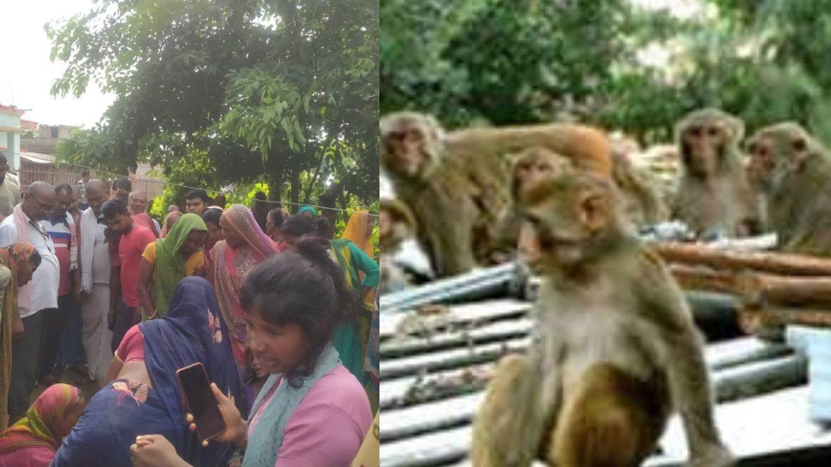 https://www.jagranimages.com/images/newimg/18082025/18_08_2025-monkey_attack_in_madhubani_24016769.jpg