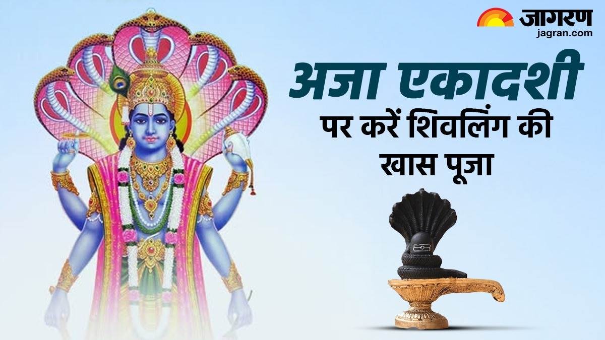 https://www.jagranimages.com/images/newimg/18082025/18_08_2025-shivling_se_jude_upay_24016819_16182355.jpg