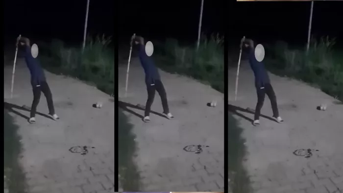 सांप को मारते किशोर का वीडियो हुआ प्रसारित।