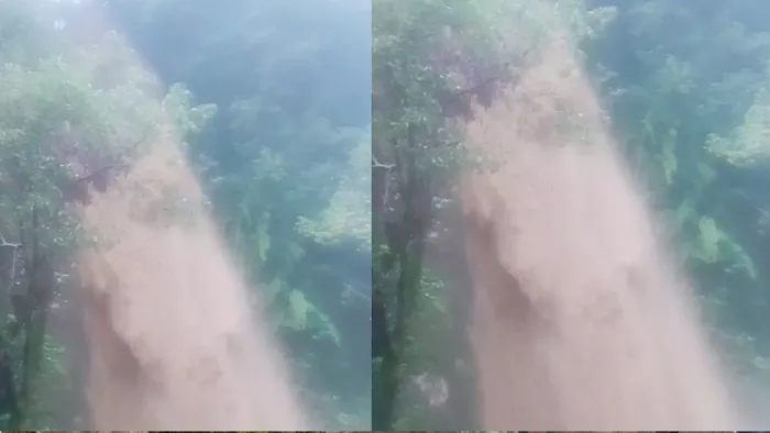 पूरे उफान पर चकराता का टाइगर फॉल।