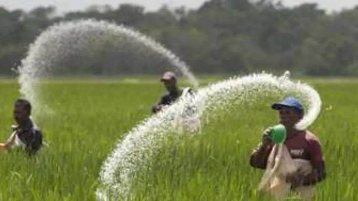 moradabad city news crackdown on fertilizer black marketing in moradabad
