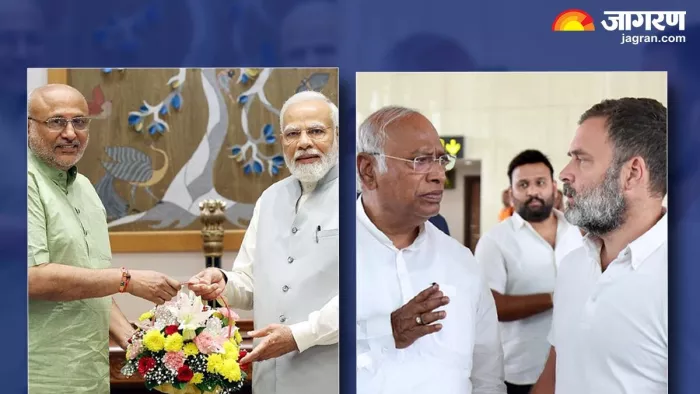 एनडीए ने सीपी राधाकृष्णन को उपराष्ट्रपति का उम्मीदवार बनाया है।