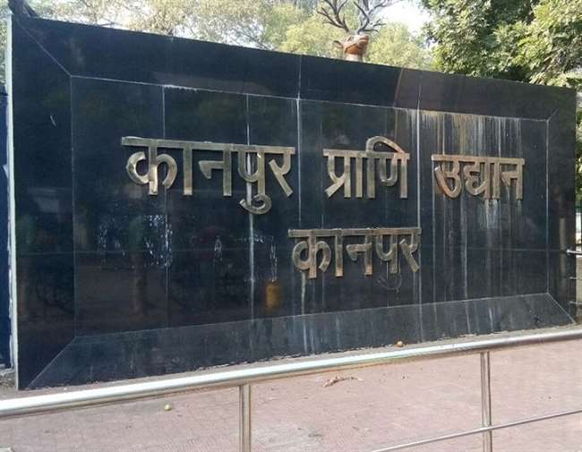 खूंखार मल्लू व गुस्सैल मालती से जल्द होगा आमनासामना, डीएम जल्द दे सकते