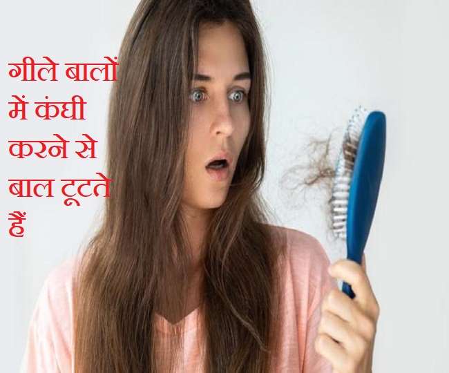 Brushing Hair: बाल वॉश करने के बाद कंघी करना चाहिए या नहीं? कंघी करने का सही समय जानिए - When should I comb my hair after washing Brushing Hair: बाल वॉश करने के बाद कंघी करना चाहिए या नहीं? कंघी करने का सही समय जानिए - When should I comb my hair after washing