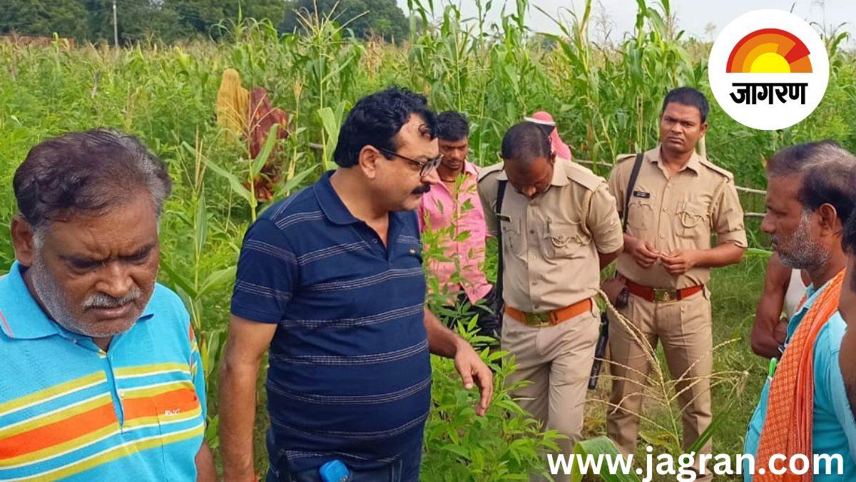 death in the fence built to guard the crop the family kept searching all night in jaunpur