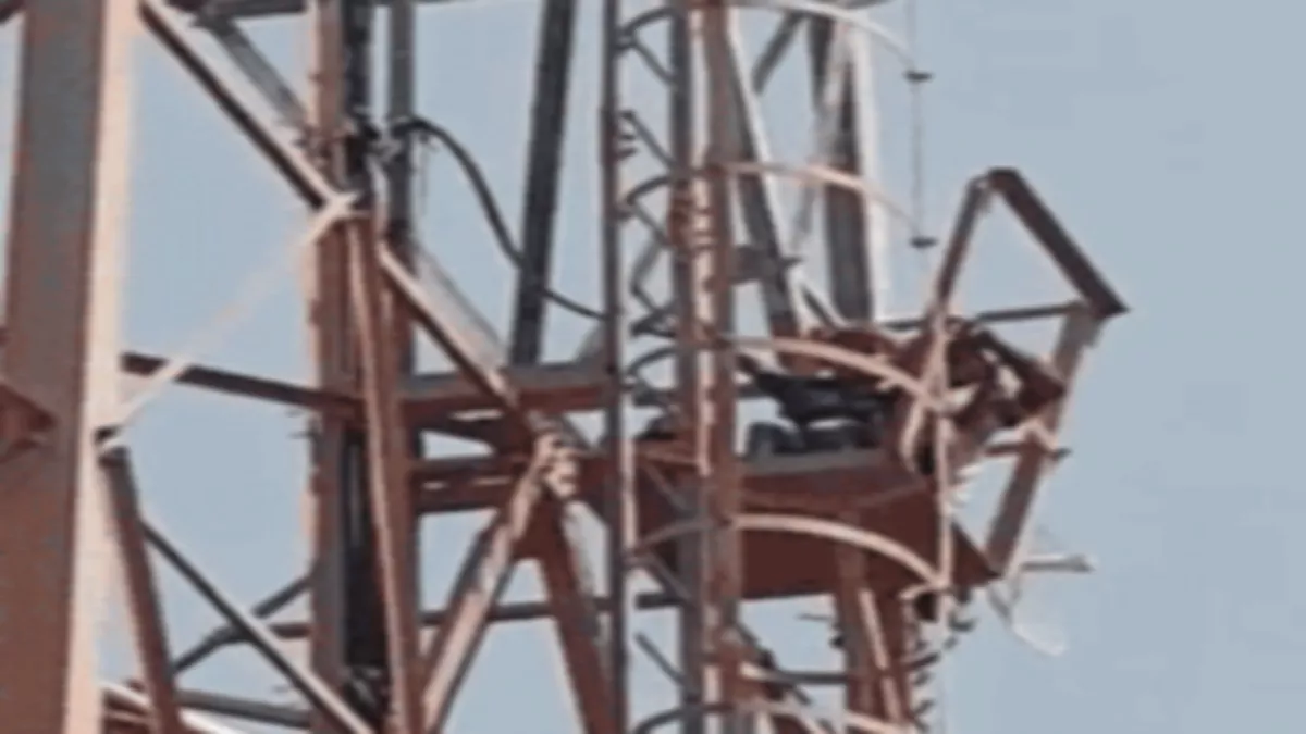 Dausa News: बेटे को लेकर मोबाइल टावर पर चढ़ा, कहा-पुलिस ने हिरासत में लिया तो नौ बकरियां गायब हो गईं