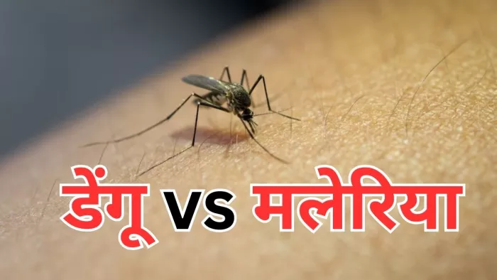 जानें डेंगू और मलेरिया में अंतर और समानता