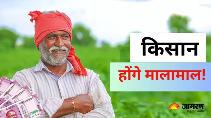 एथेनाल के लिए सफेद मक्का पैदा करेंगे गोरखपुर के किसान। (प्रतीकात्मक तस्वीर)