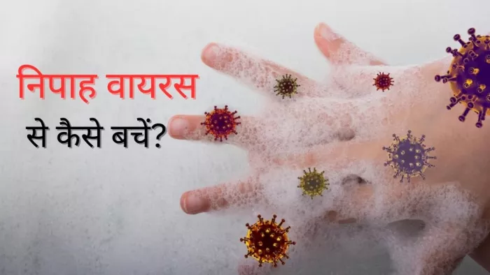 Nipah Virus Precautions: निपाह वायरस से कैसे बचें?