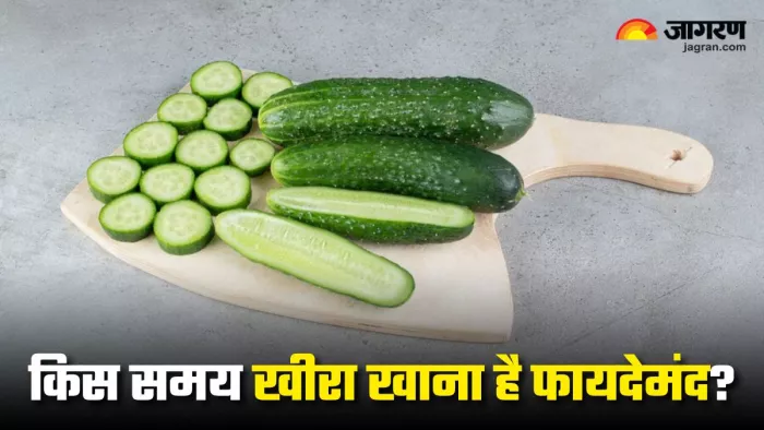 खीरा खाने का सही समय जानेंगे, तो सेहत को होने वाले नुकसान से बच जाएंगे आप!(Image Source: Freepik)