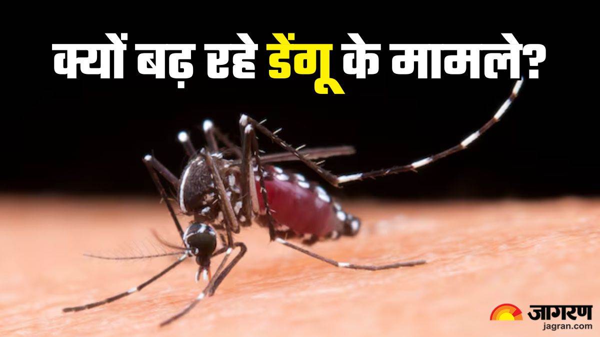 https://www.jagranimages.com/images/newimg/18092024/18_09_2024-dengue_25_23799338.jpg