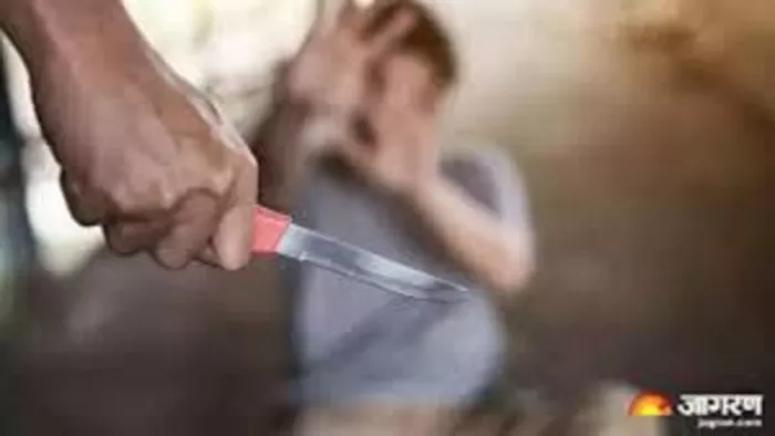 प्रयागराज के थरवई में चोरी की कोशिश के दौरान बदमाशों ने महिला को चाकू मारकर घायल कर दिया।