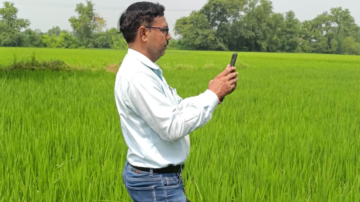 https://www.jagranimages.com/images/newimg/18092025/18_09_2025-digital_crop_survey_24051428.jpg