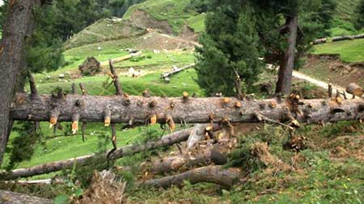 https://www.jagranimages.com/images/newimg/18092025/18_09_2025-handwara_forest_24051377.jpg