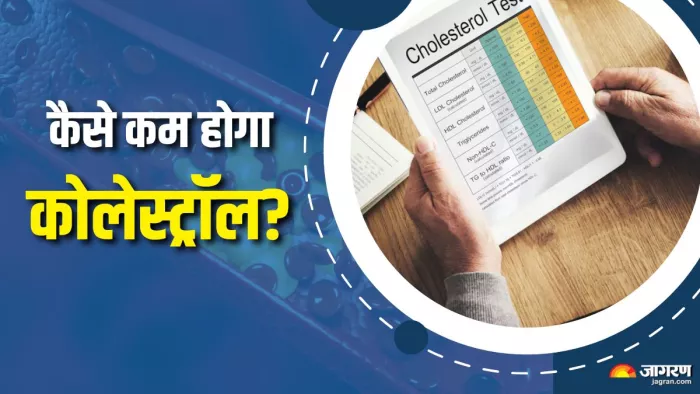 कोलेस्ट्रॉल लेवल कम करने के लिए क्या करें? (Picture Courtesy: Freepik)