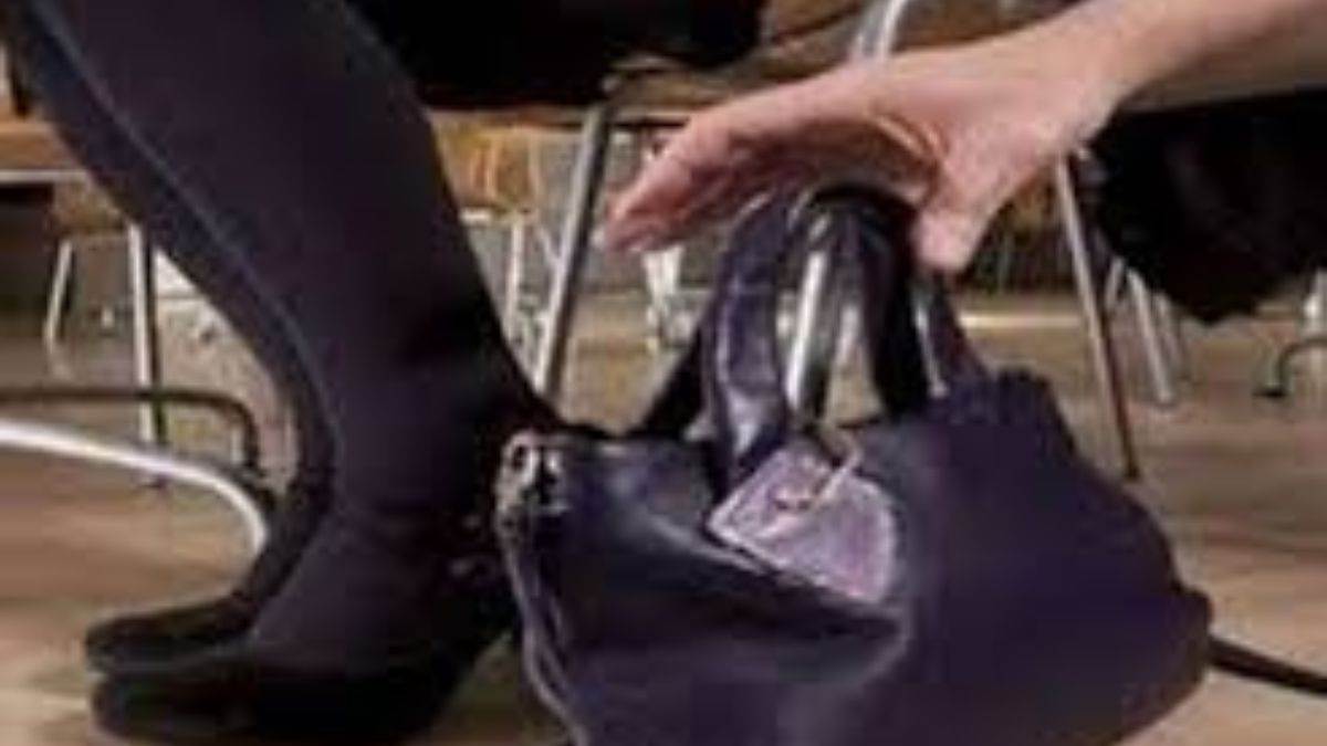 https://www.jagranimages.com/images/newimg/18092025/18_09_2025-purse_theft_24051883.jpg