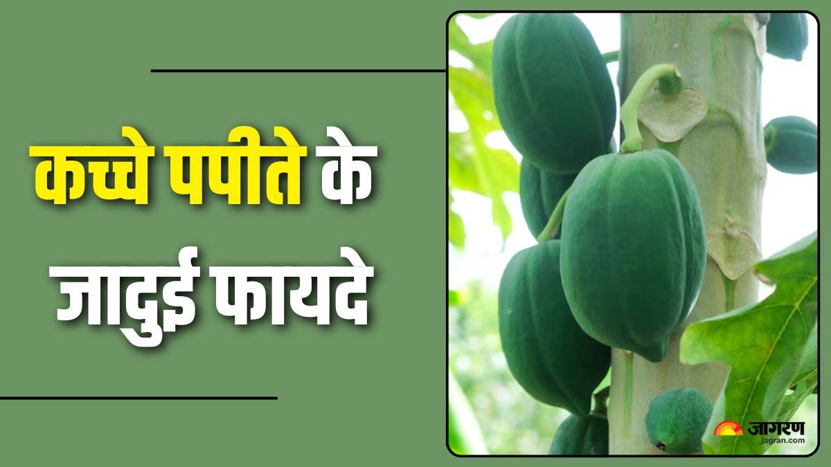 https://www.jagranimages.com/images/newimg/18092025/18_09_2025-raw_papaya_24050713.jpg