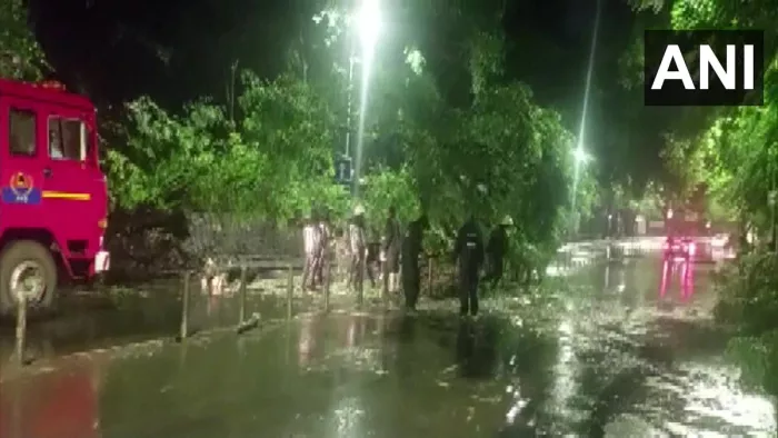 Mumbai Rain Update: महाराष्ट्र के कई जिलों में बारिश के कारण सड़कों पर पानी भर गया है