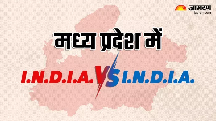 प्रदेश स्तर पर बिखरा हुआ है I.N.D.I.A