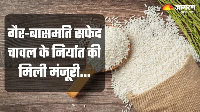 भारत सरकार ने गैर-बासमती सफेद चावल के निर्यात की अनुमति दे दी।