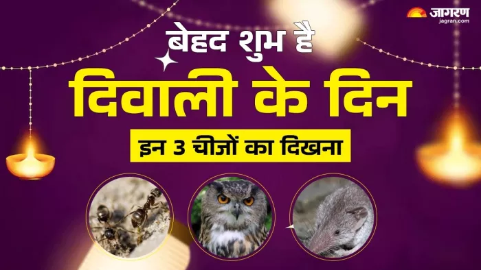 Diwali 2024: दिवाली पर इन चीजों का दिखना है बेहद दुर्लभ।