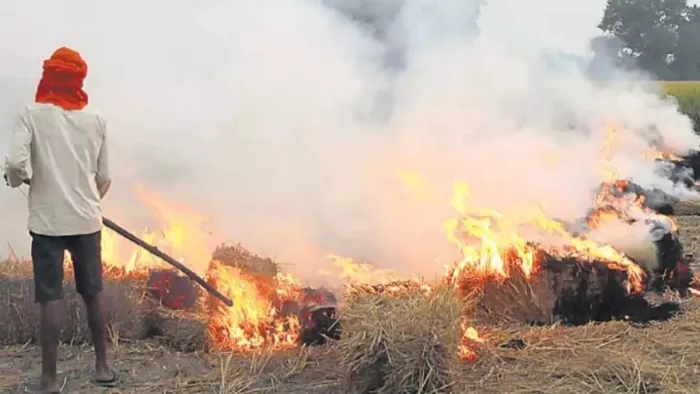 stubble burning in haryana: पराली जलाता एक युवक (जागरण फाइल फोटो)