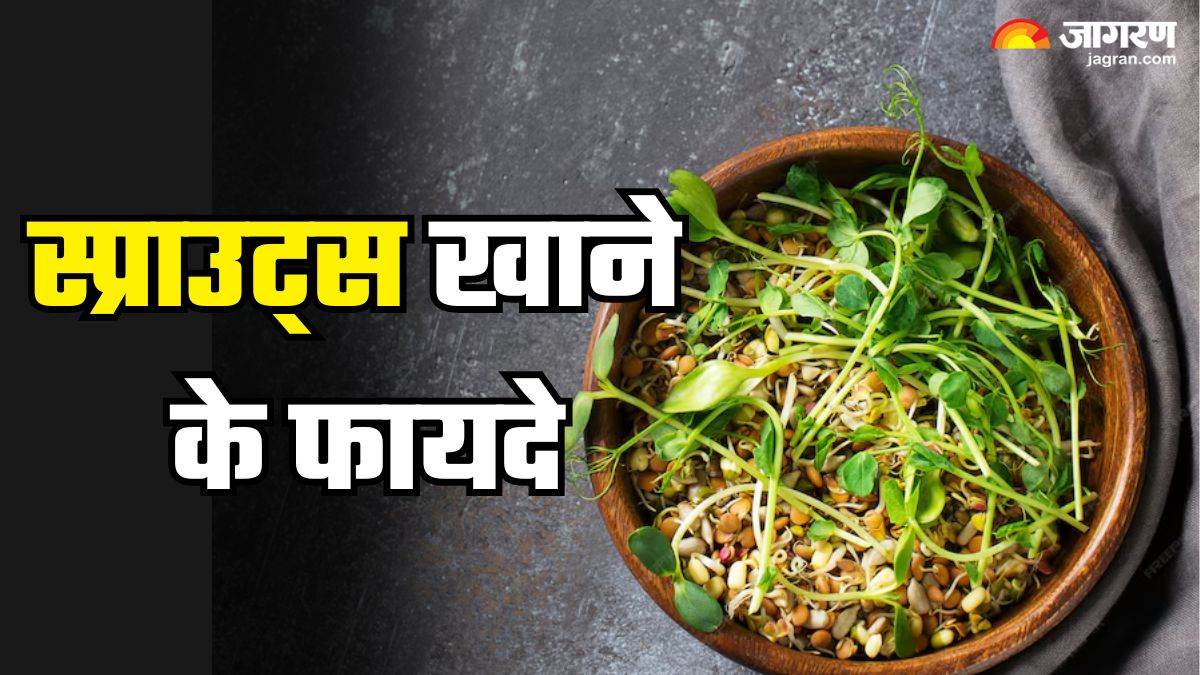 यूं ही नहीं सुपरफूड्स कहलाते हैं स्प्राउट्स, रोजाना खा लिए तो आप भी