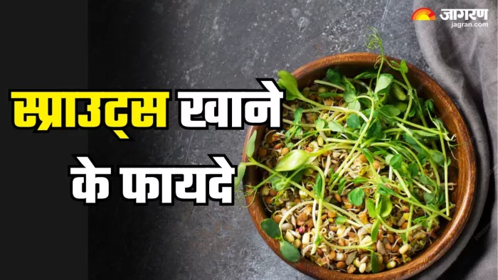 स्प्राउट्स खाने के बेमिसाल फायदे (Picture Credit- Freepik)