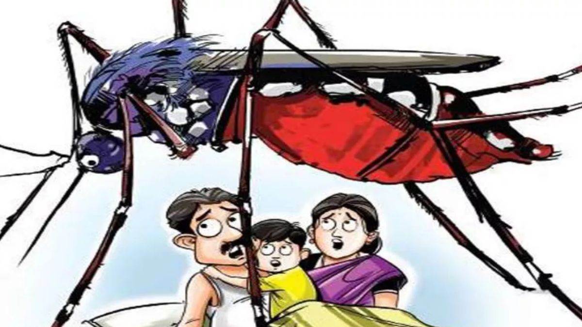 Dengue Cases in Jalandhar: डेंगू का डंक नहीं पड़ रहा ठंडा, 13 नए मरीज आए  सामने; 359 तक पहुंचा आंकड़ा - 13 New cases of dengue Reported in Jalandhar