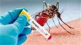 Dengue in UP : नगरीय प्राथमिक स्वास्थ्य केंद्रों पर थमाई जा रही बुखार की दवा