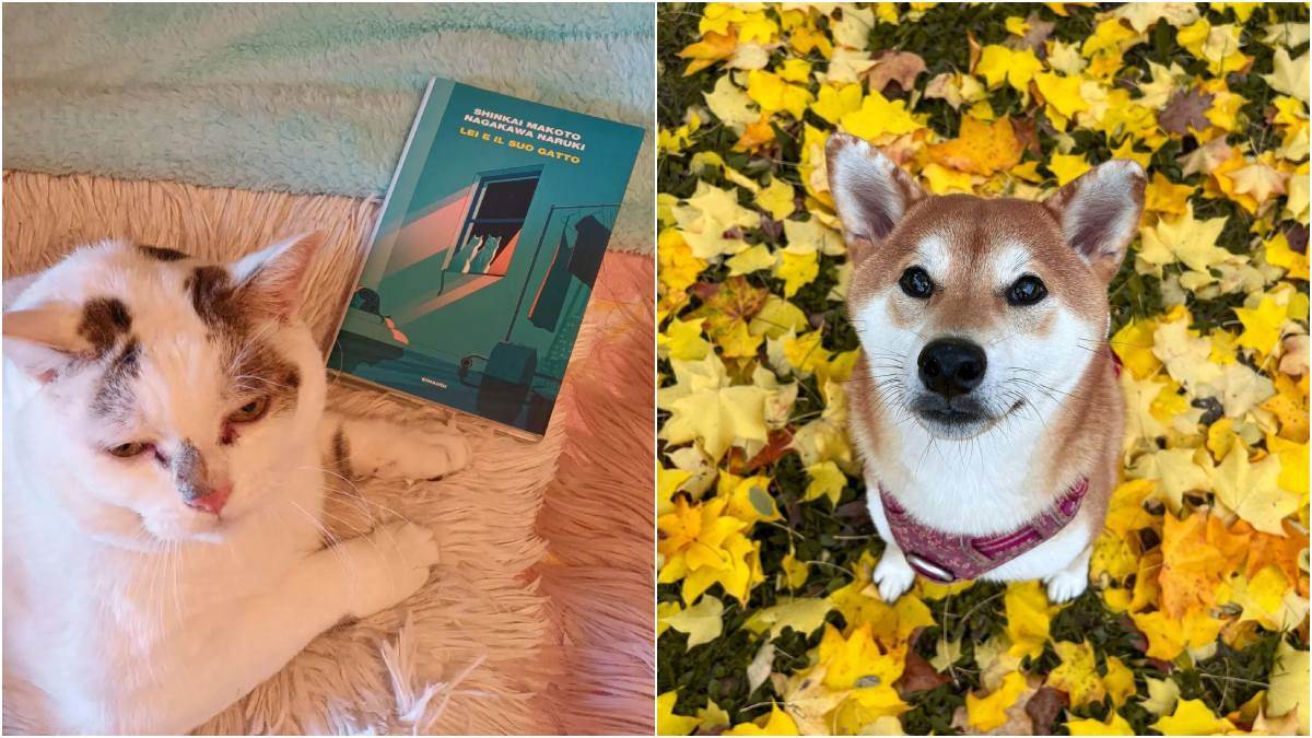 News Article Hero Image