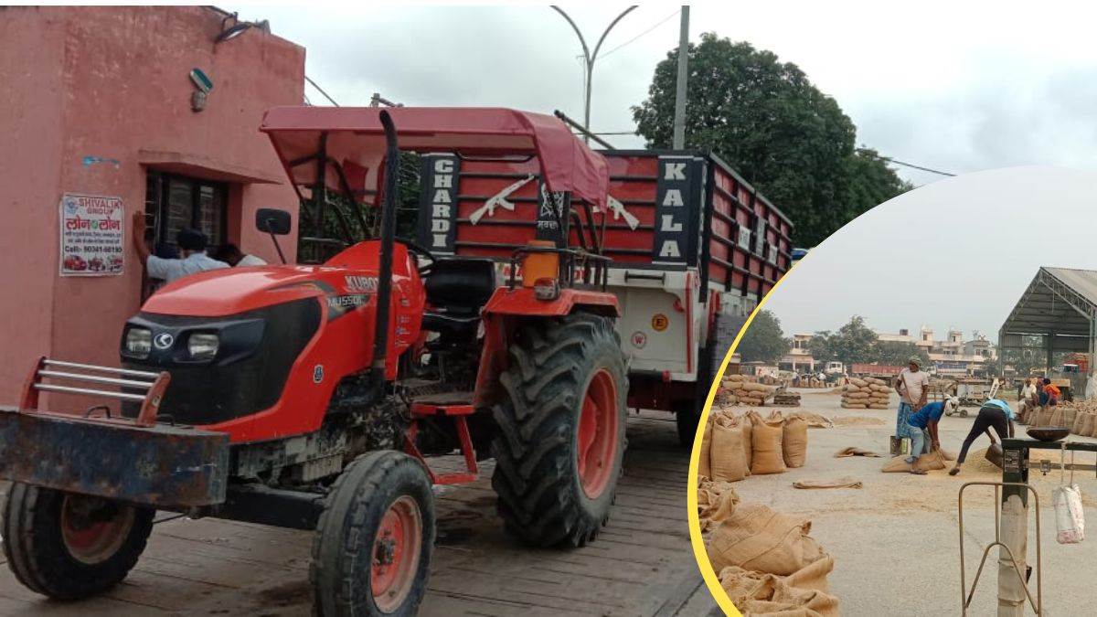 haryana government action paddy purchase scam busted action on 8 employees in karnal