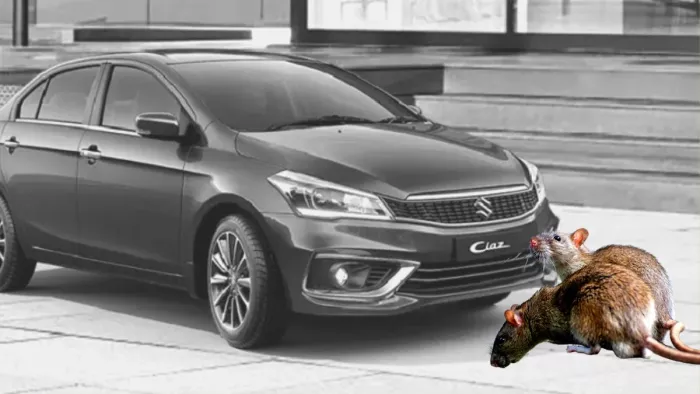 Tips To Protect Car From Rates To Avoid Damages In winter