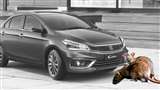 Tips To Protect Car From Rates To Avoid Damages In winter