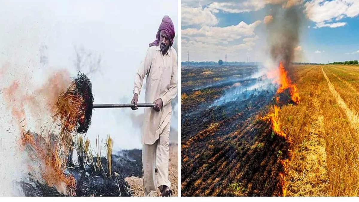 Stubble Burning: पराली जलाने से पीछे नहीं हट रहे किसान, जालंधर में 14 नए मामले आए सामने